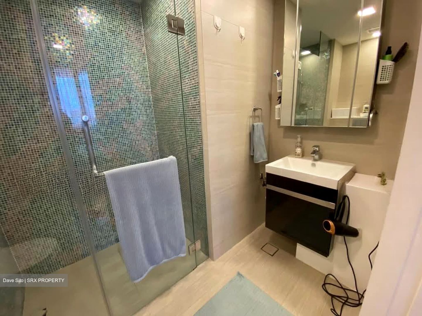 Sant Ritz (D13), Condominium #573712121